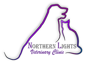 Northern Lights Veterinary Clinic